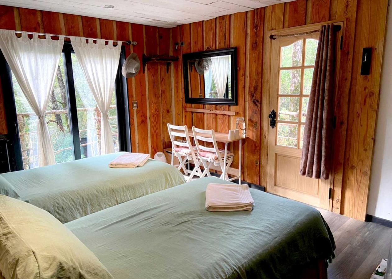 La Colmena Eco Lodge La Ensenada Eksteriør billede